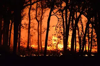 IPMA prevê agravamento do perigo de incêndio rural até sábado