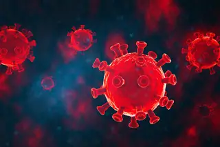 Transmissão do coronavírus diminui e a média diária de casos mantém-se estável