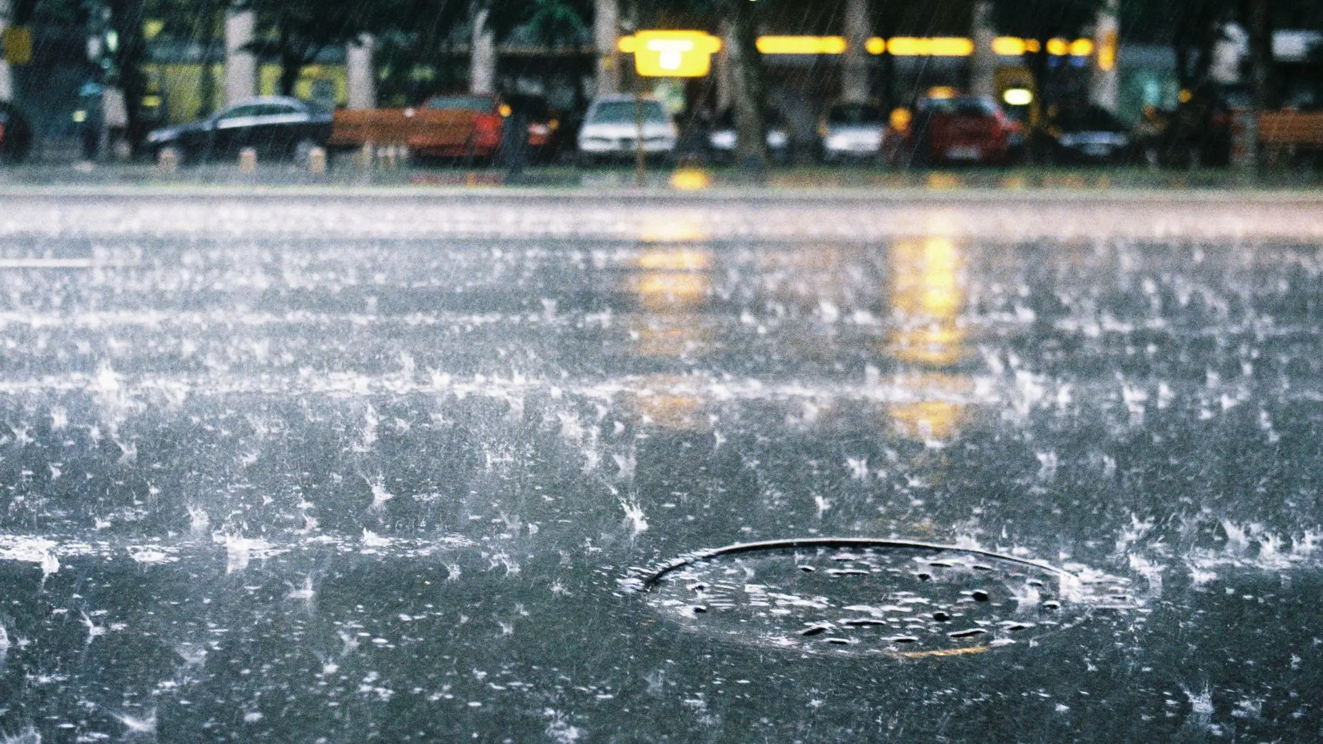 Previsão de chuva forte deixa distritos de Faro e Beja sob aviso laranja