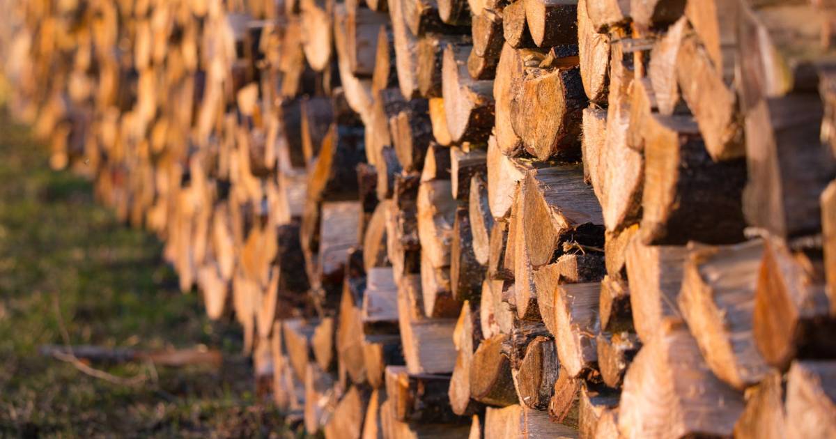 Venda de lenha está a aumentar, quem compra diz que é a opção mais barata