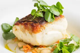 Boa Cama, Boa Mesa: bacalhau é o protagonista do roteiro