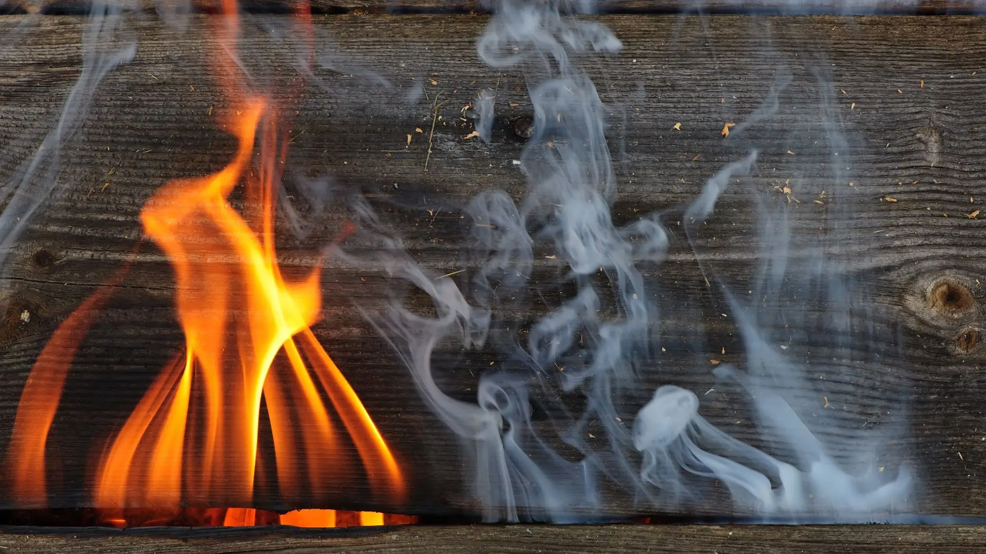 Incêndio em habitação deixa quatro desalojados em Paços de Ferreira
