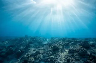 COP15: Fundamental proteger 30% do planeta e travar mineração em mar profundo