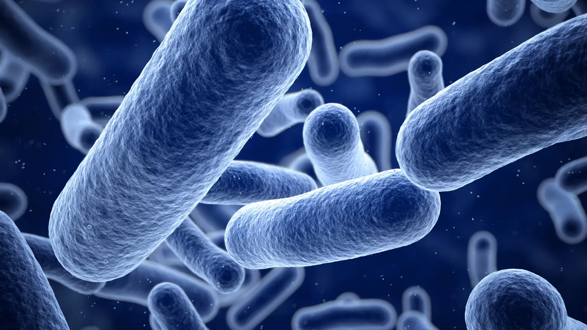 Resistência de bactérias entre as 10 principais ameaças à saúde global, alerta OMS
