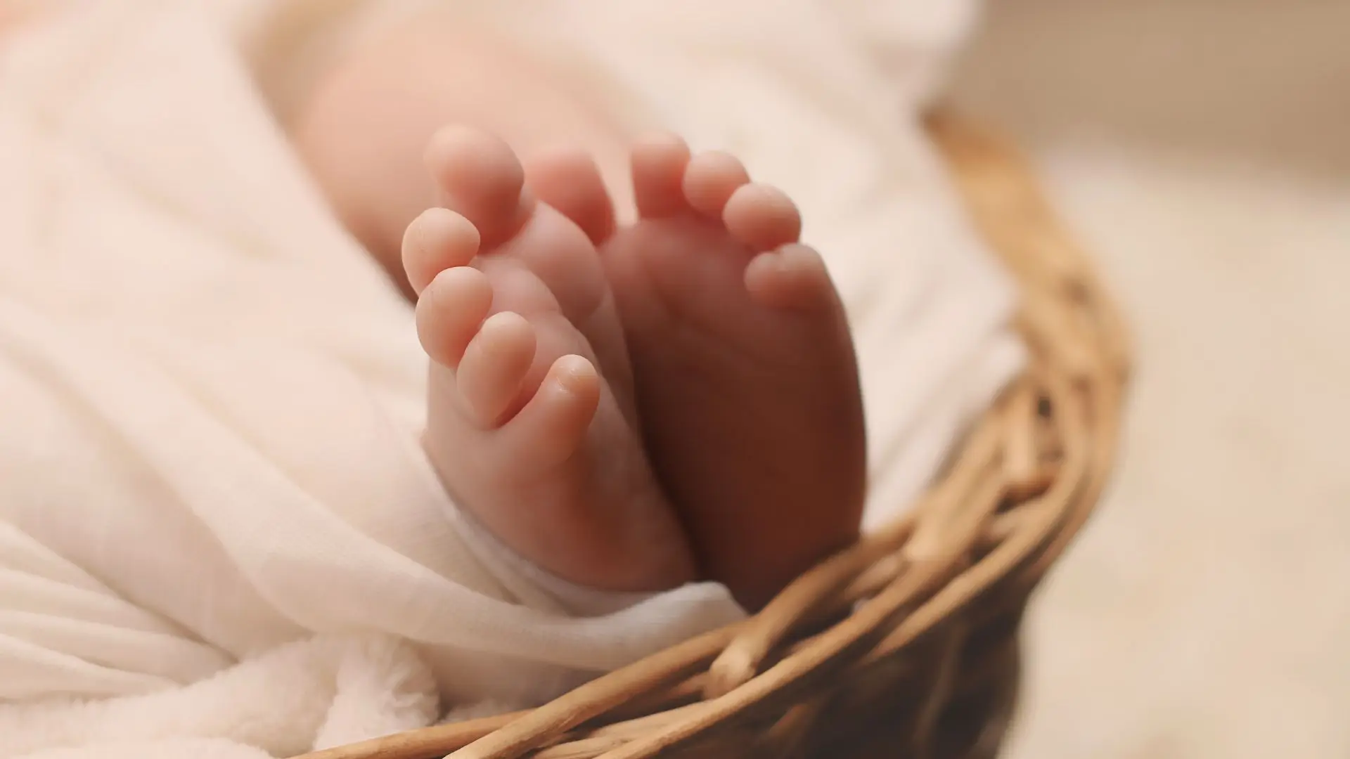 Casais "elite" procriam e fazem triagens genéticas aos filhos para "salvar a humanidade"