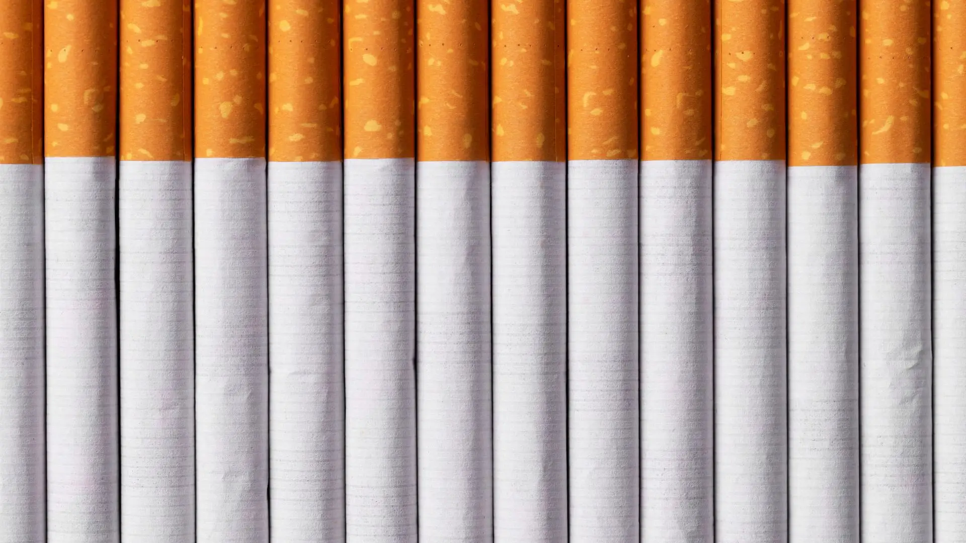 Mais de 440 mil cigarros apreendidos em Vila Nova de Gaia