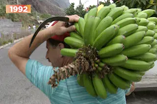 David e Golias: quando os bananicultores da Madeira enfrentaram as poderosas multinacionais americanas