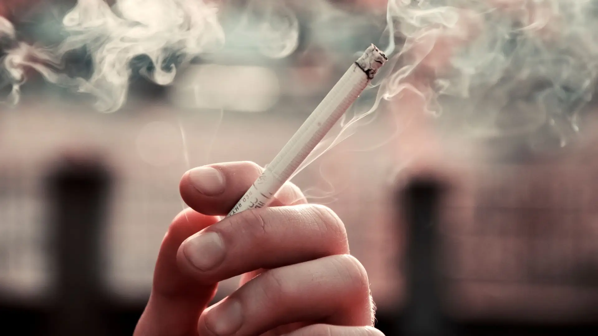 Pneumologista alerta para riscos do "fumo em terceira mão" sobretudo nas crianças
