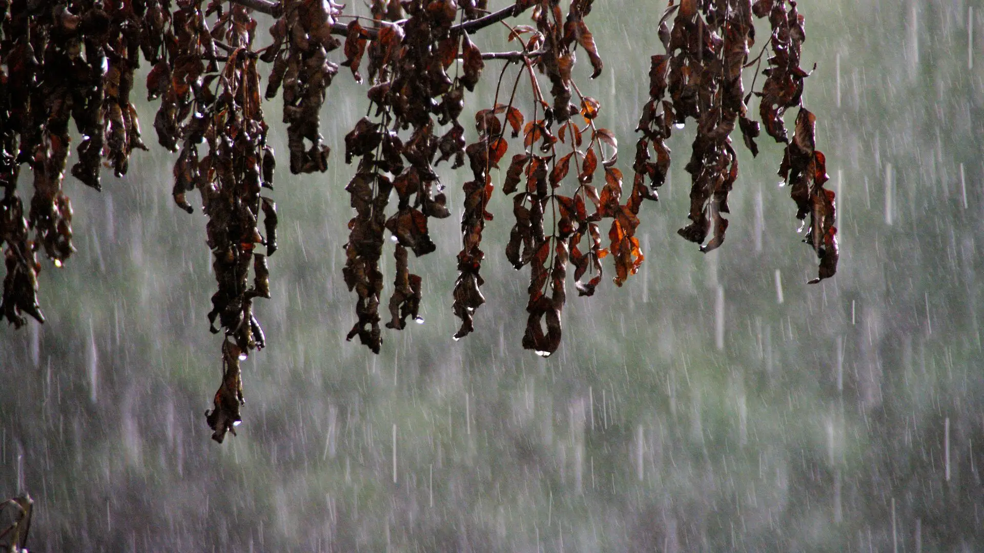 Proteção Civil regista 840 ocorrências devido à chuva intensa