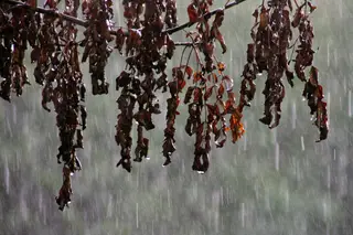 Meteorologia: 7 distritos sob aviso amarelo, Madeira com regiões a vermelho e laranja