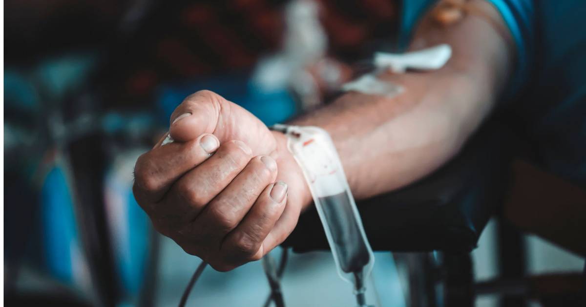 É dador regular de sangue? AR chumbou atribuição de dias de férias adicionais