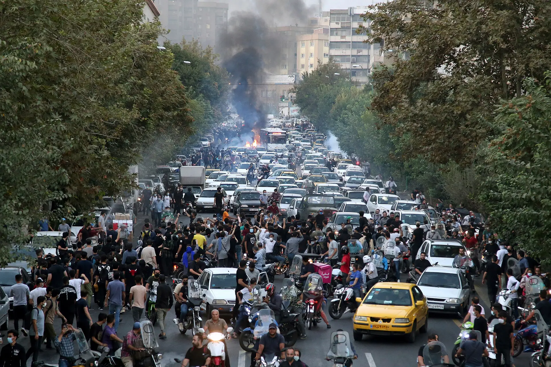 Mais de 500 pessoas morreram na repressão dos protestos pelas forças de segurança iranianas e estima-se que 18.000 tenham sido detidas, de acordo com as denúncias de ativistas e de ONG.