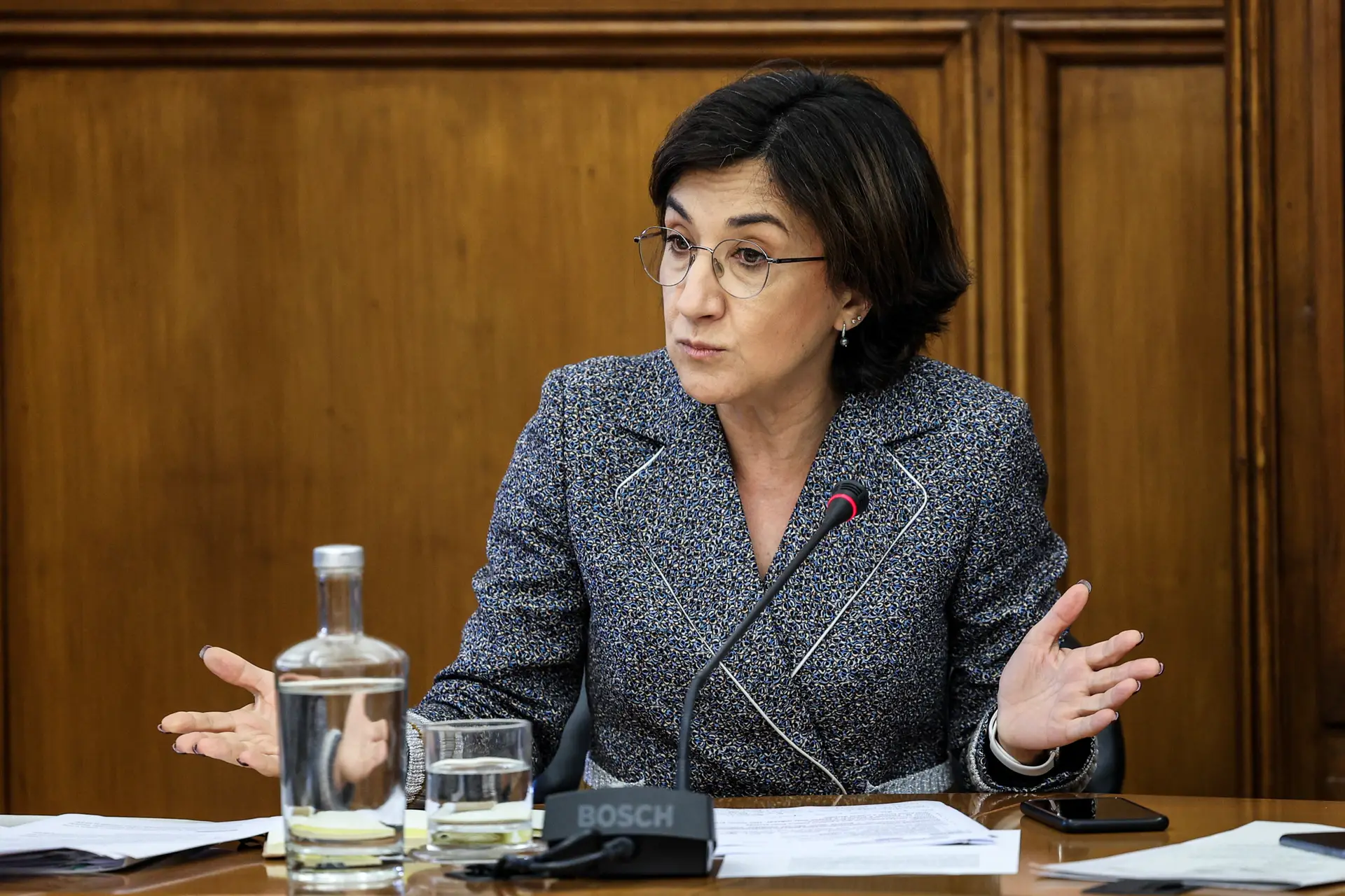A ministra da Agricultura e Alimentação, Maria do Céu Antunes.