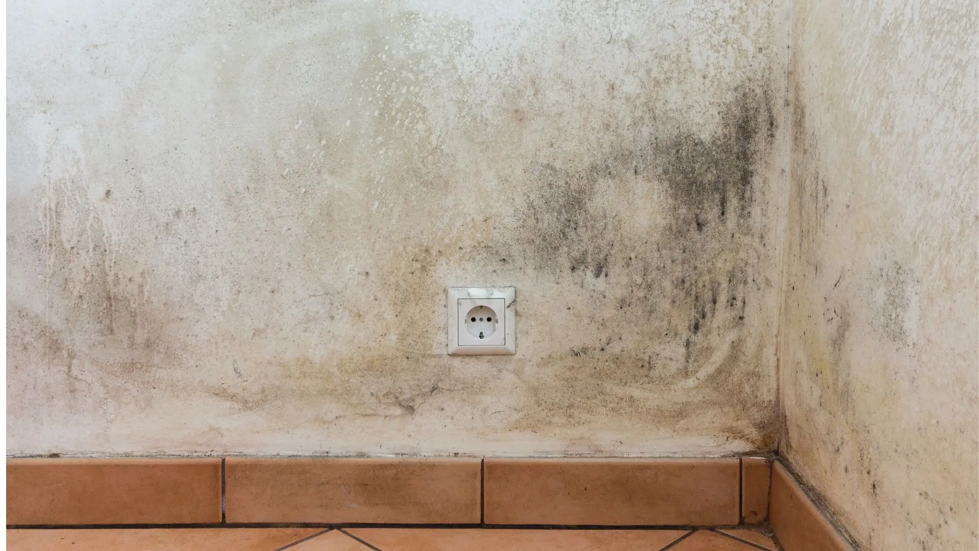 Mais de meio milhão de pessoas vivem em situação de pobreza habitacional