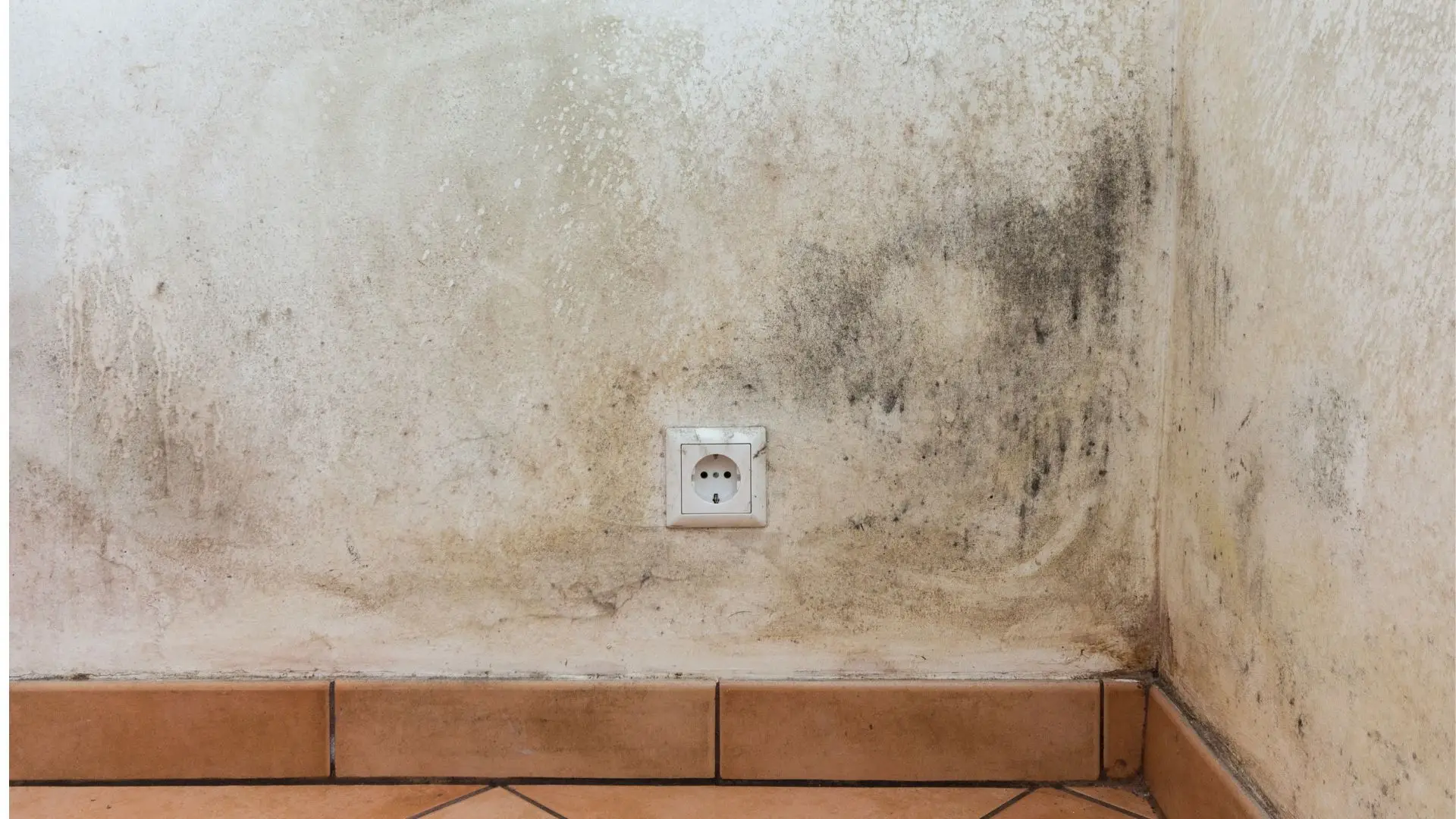 Humidade dentro de casa: algumas dicas para reduzir o problema