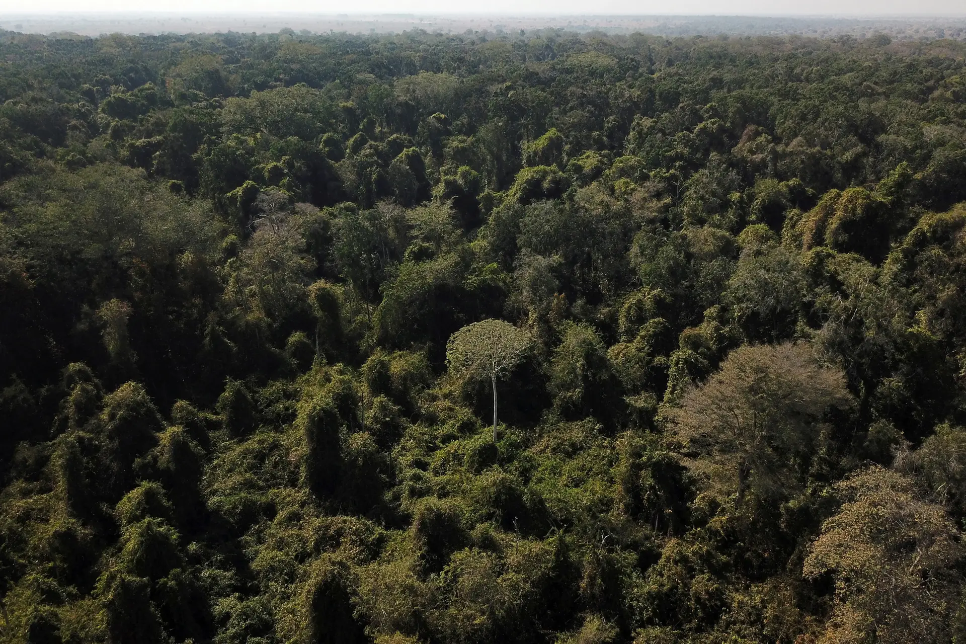 Pai de crianças resgatadas na Amazónia em julho acusado de abuso sexual