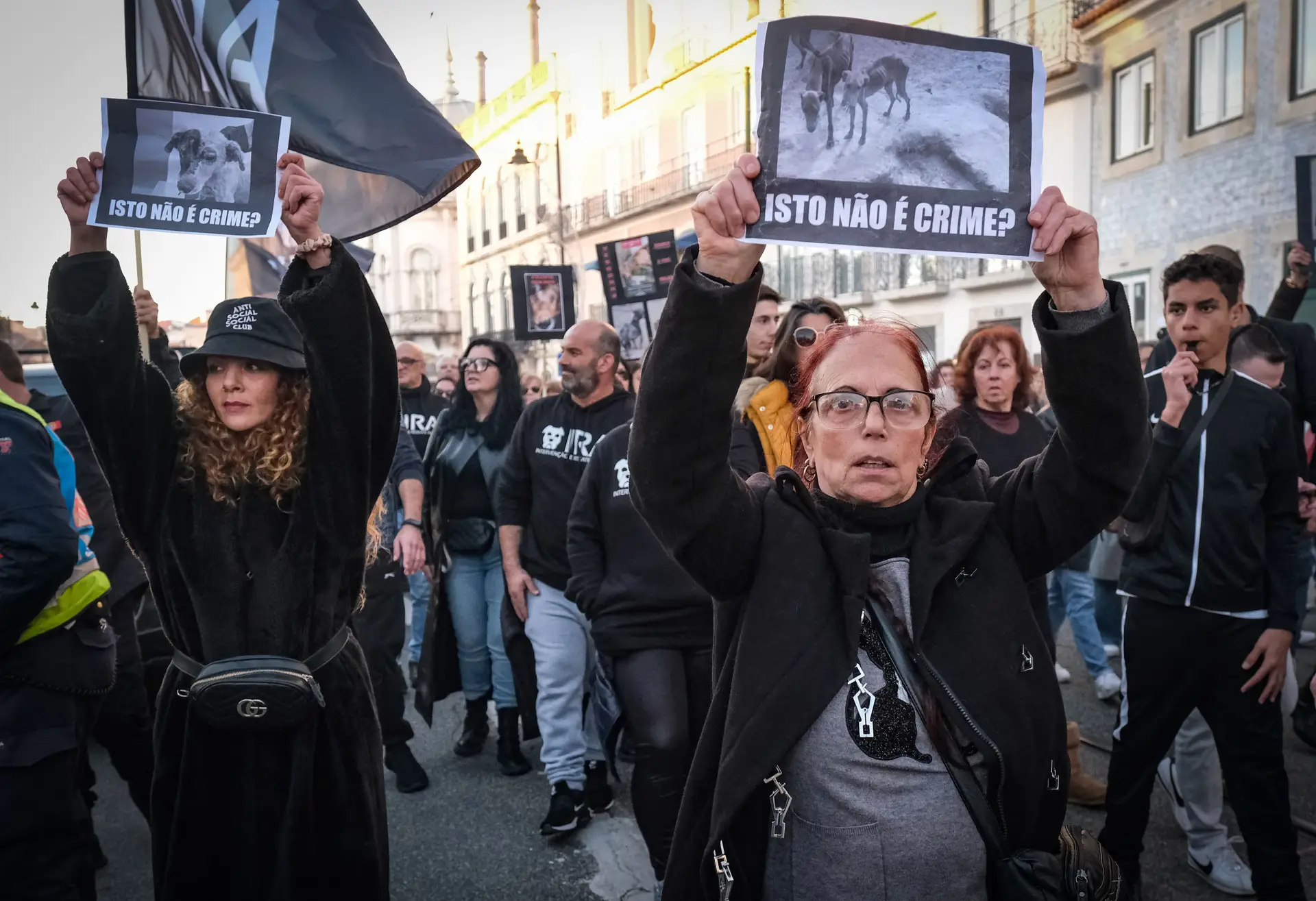 "Somos todos do reino animal e também gostamos de ser respeitados e bem tratados"