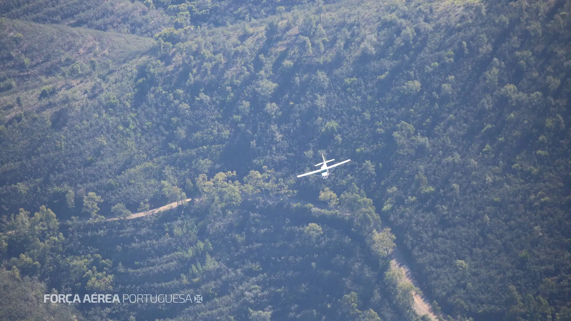 Força Aérea interceta aeronave suspeita