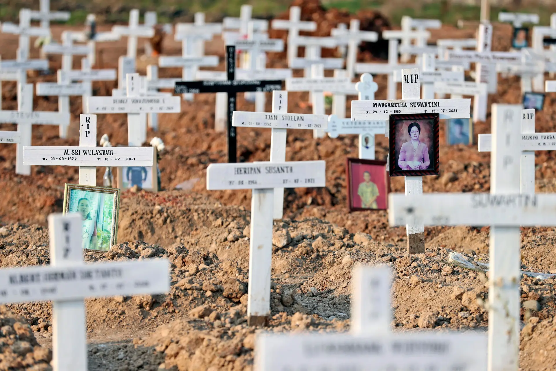 OMS alerta: número de mortes por covid-19 está a aumentar