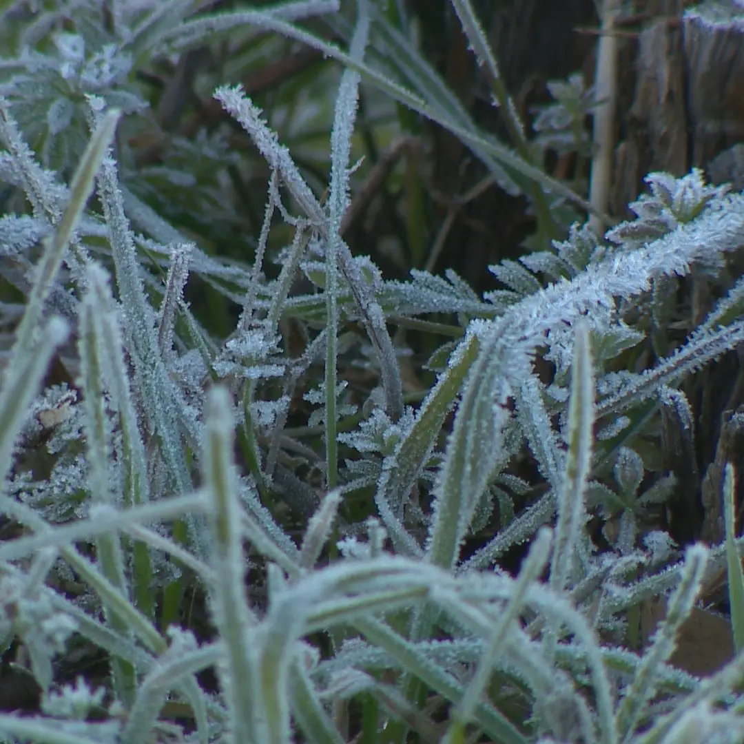 Vaga de frio na Europa: cidades cobertas de neve - SIC Notícias