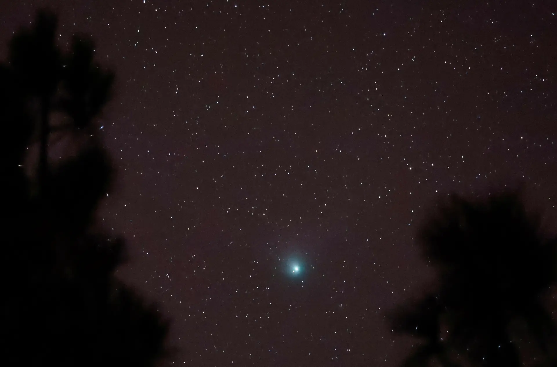 O cometa C/2022 E3 (ZTF) visto do Pico de las Nieves, na ilha de Gran Canaria, Espanha, a 1 de fevereiro.