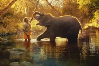 Sessão de Cinema: “Raghu, o Elefante Adotado”