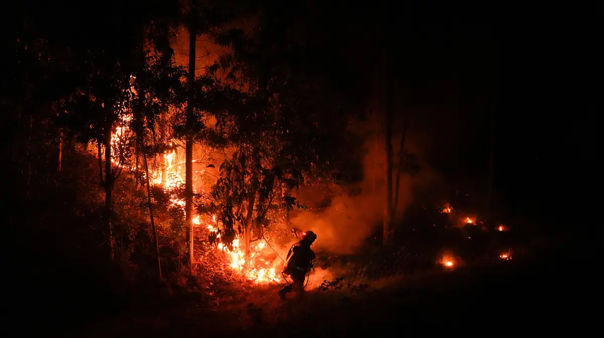Incêndios florestais do Chile