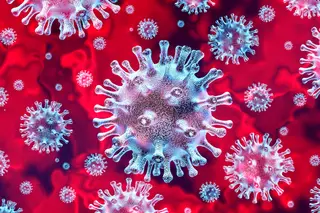 Covid-19: padrão imprevisível do vírus torna incerta a evolução da pandemia