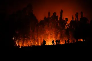 Incêndios no Chile: "Em 2011 ardeu tudo. Não queremos passar pelo mesmo"