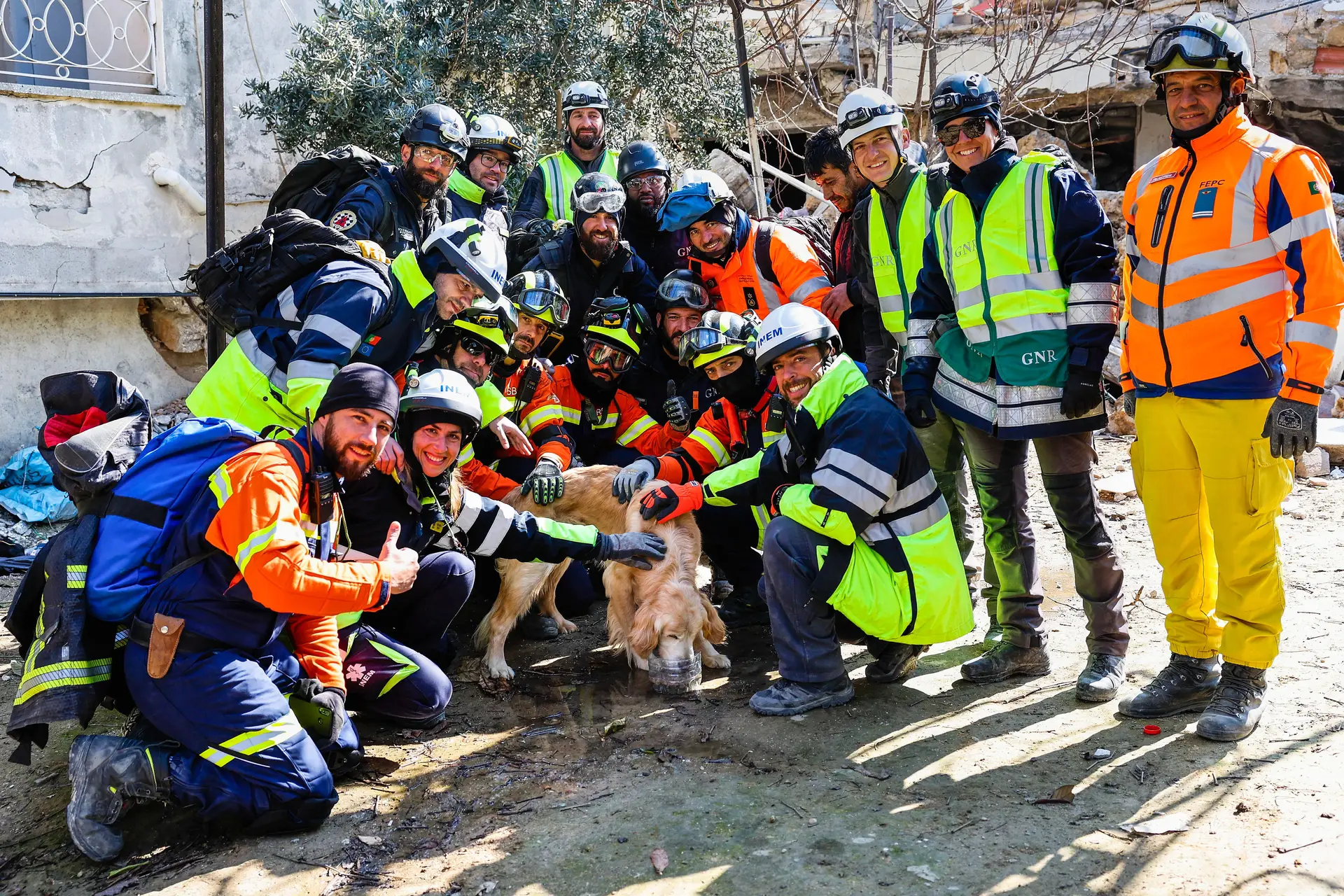 As imagens e a história do resgate de Tarcin, o cão salvo pela equipa portuguesa na Turquia