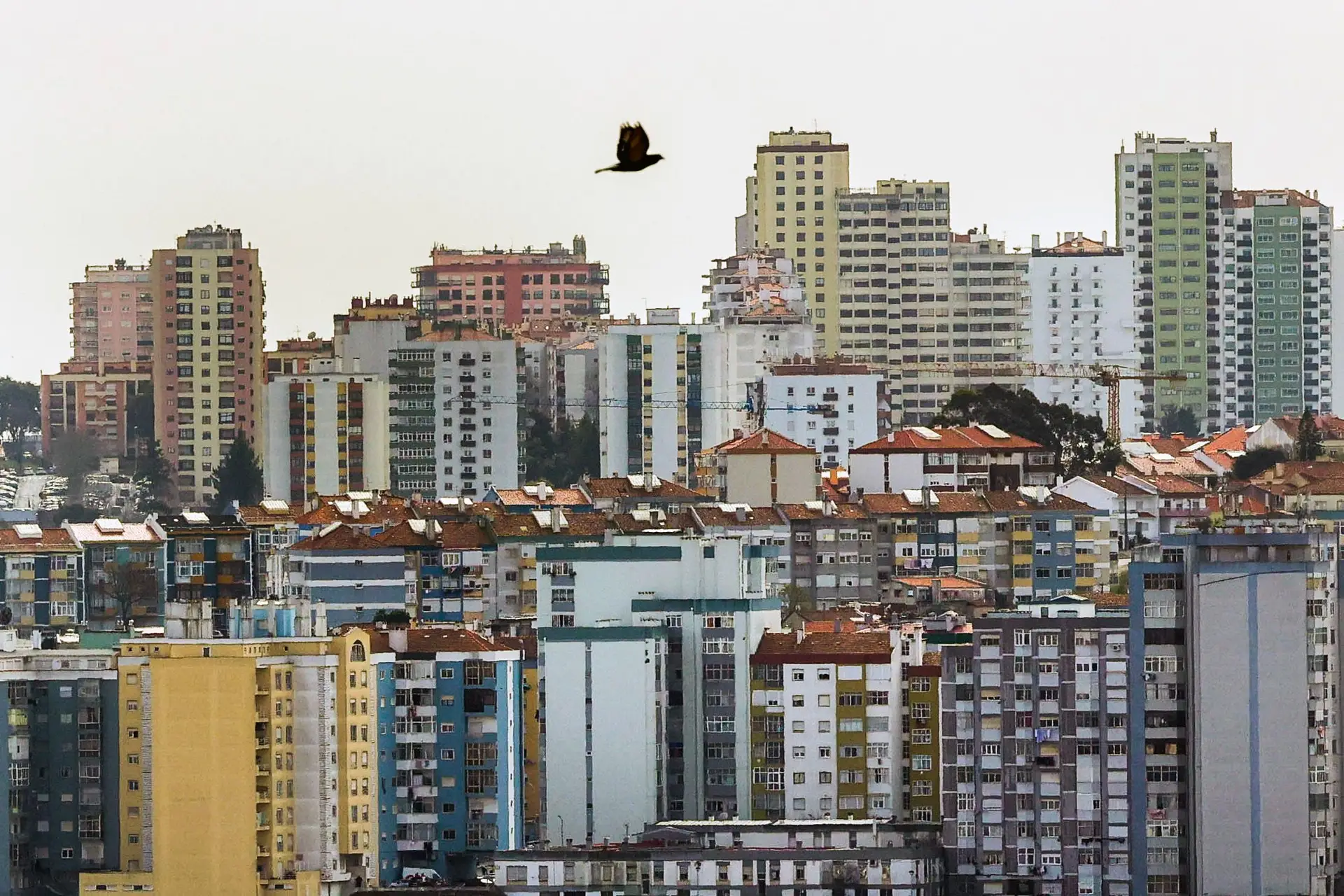 Novas medidas para a habitação: as reações dos partidos