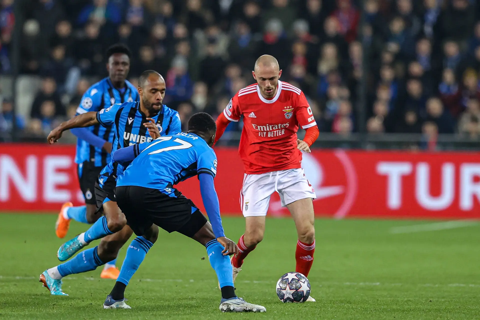 Benfica goleia Club Brugge e está nos quartos de final da Liga dos  Campeões. Veja os golos