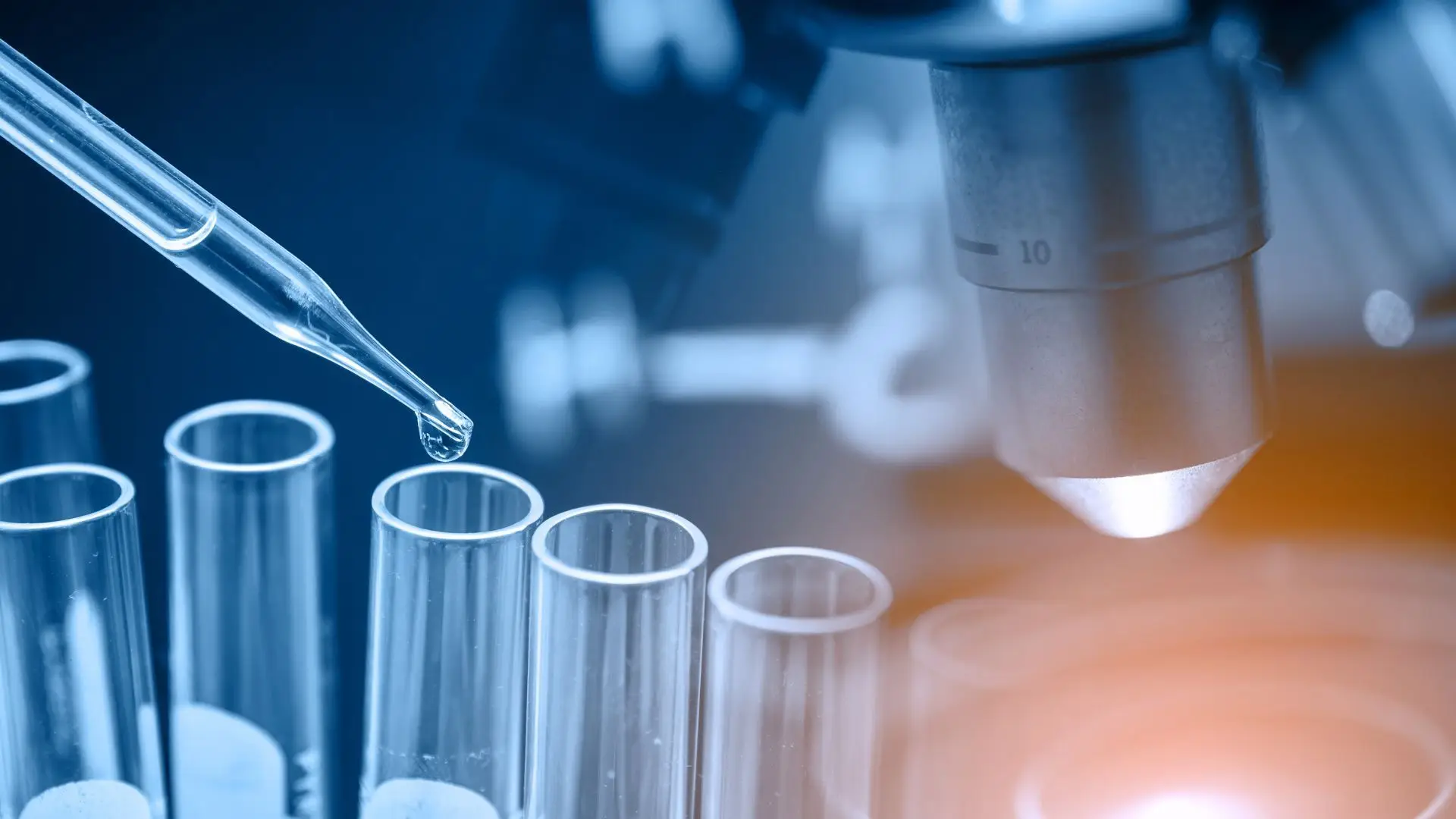 Investigadores da FMUP relacionam cancro da próstata com microbiota genital e urinária