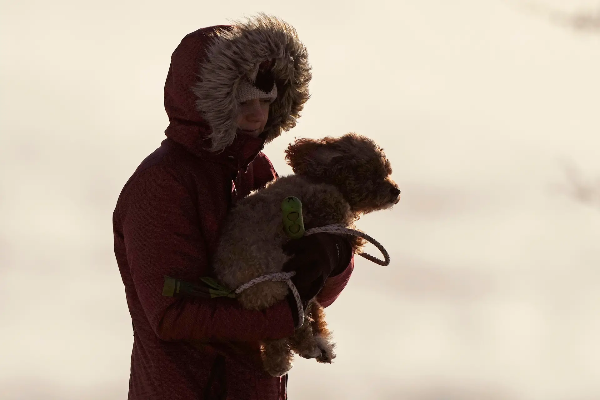 Tempo frio: sobem para 10 os distritos sob aviso amarelo até 4.ª feira