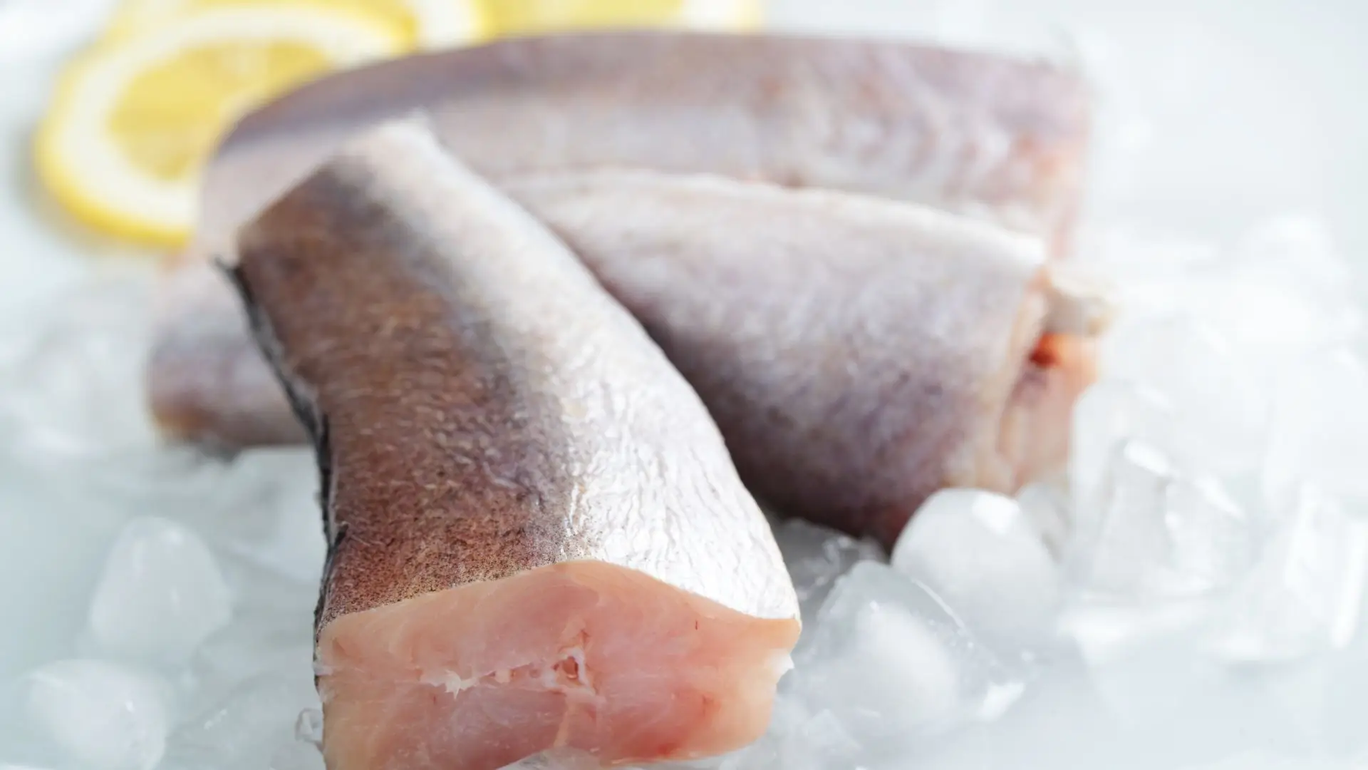 Consumo de pescada: cientistas alertam para potenciais riscos para a saúde