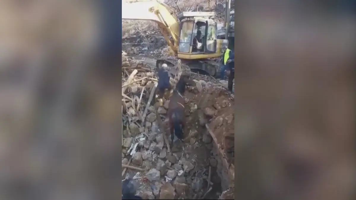 Resgate de cavalo na Turquia
