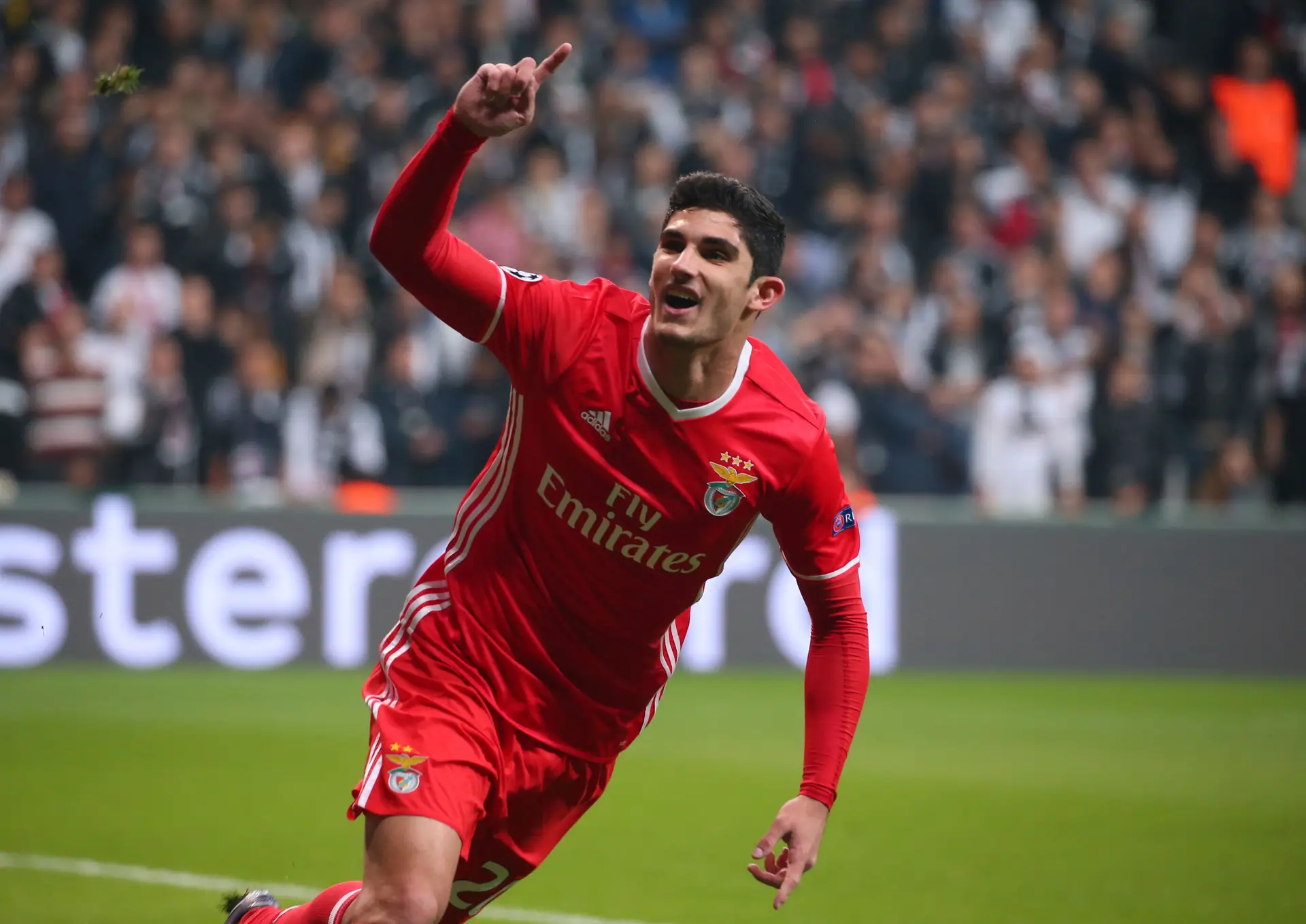 Benfiquista Gonçalo Guedes operado "com sucesso" ao joelho esquerdo