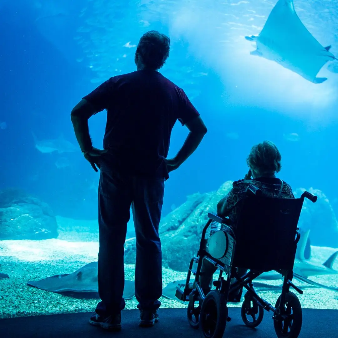 Oceanário promove preços do "tempo da Maria Cachucha"
