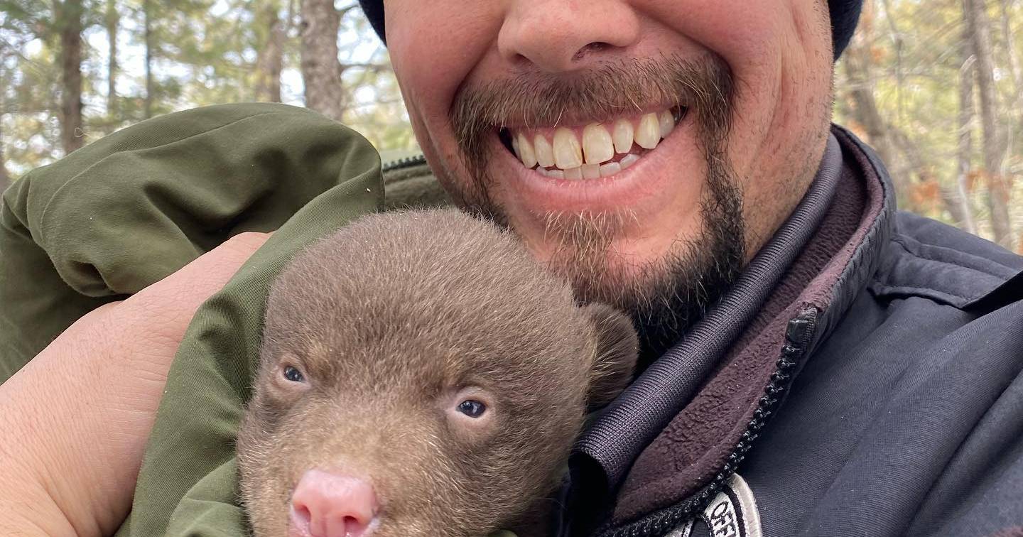 Un trabajo especial: Nuevo México busca ‘abrazadores de osos profesionales’