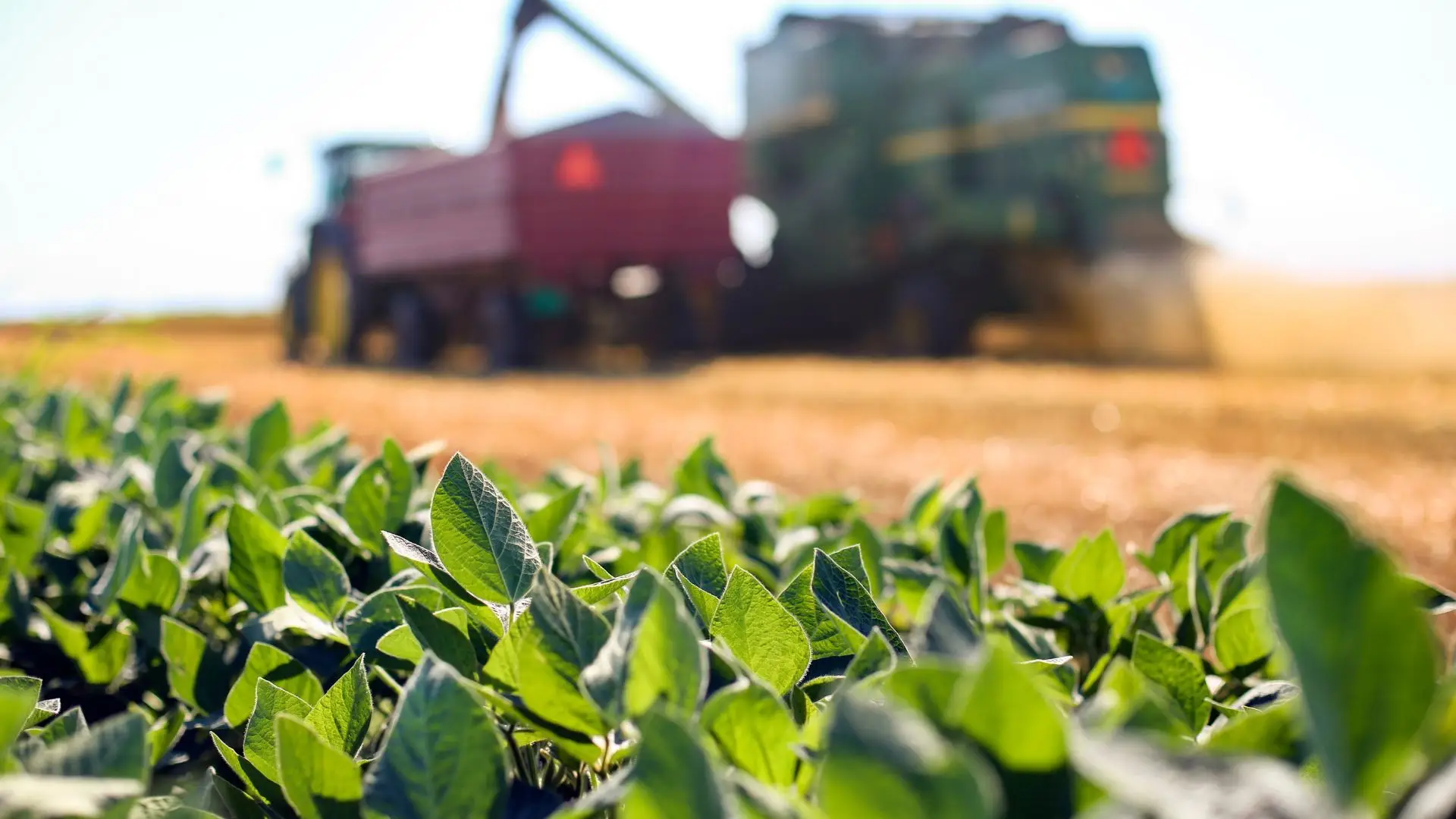 Governo destina 140 milhões de euros de apoio à produção agrícola