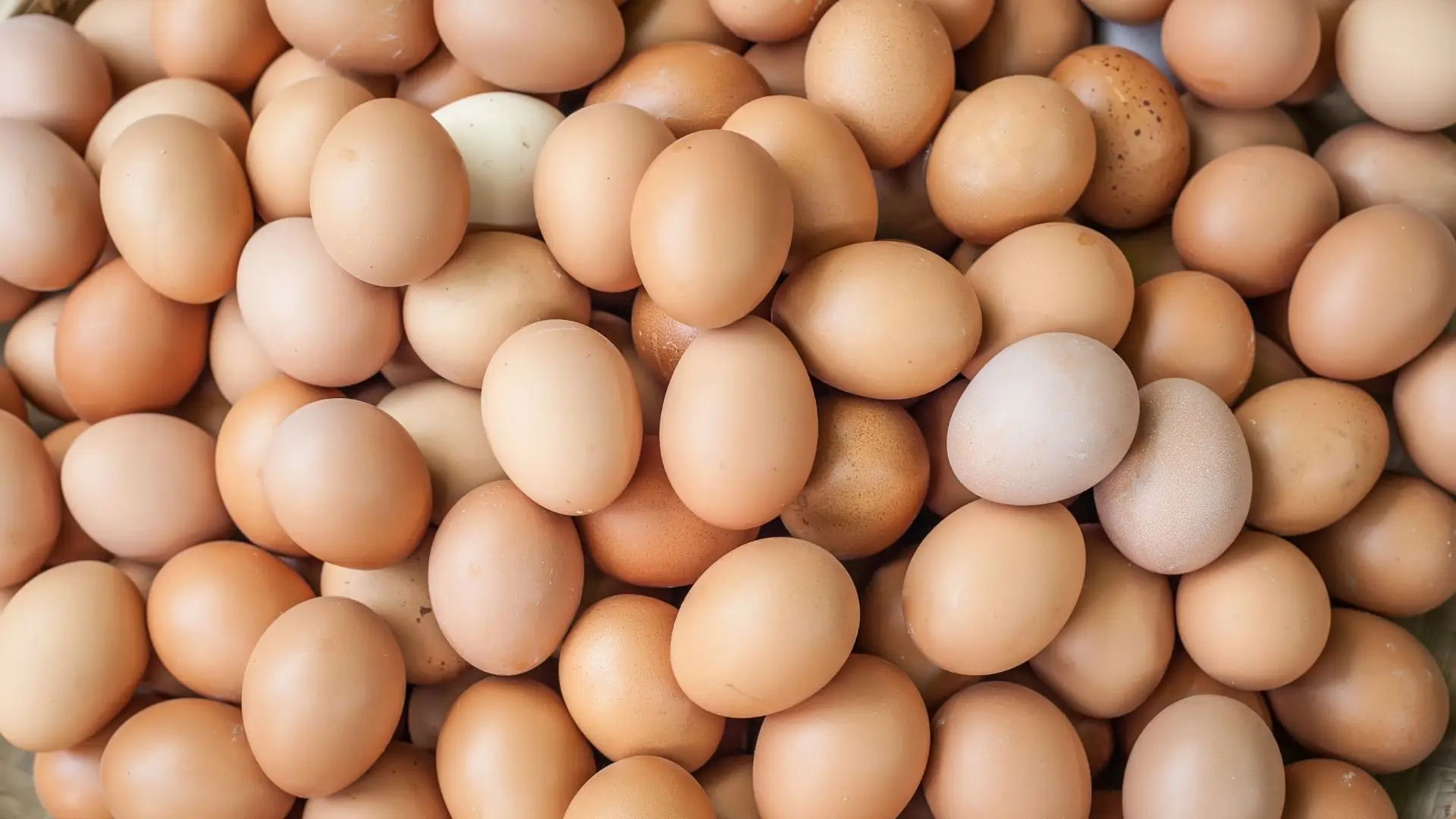 Ovos de galinha