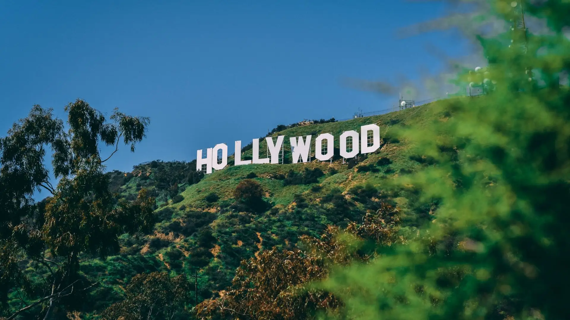 Greve dos argumentistas de Hollywood pode resultar em consequências desastrosas?