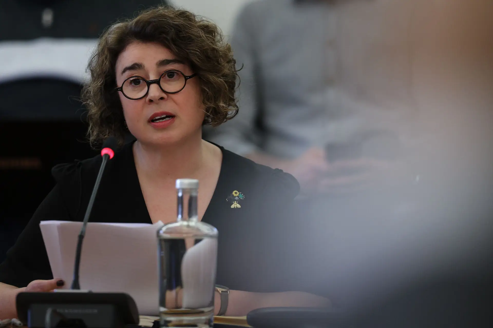 Alexandra Reis na Comissão Parlamentar sobre a tutela da TAP