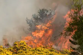 Mais de 80 concelhos em perigo máximo de incêndio