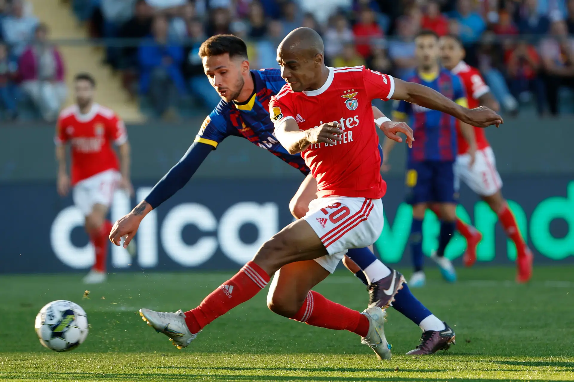 Benfica volta a perder e reabre campeonato