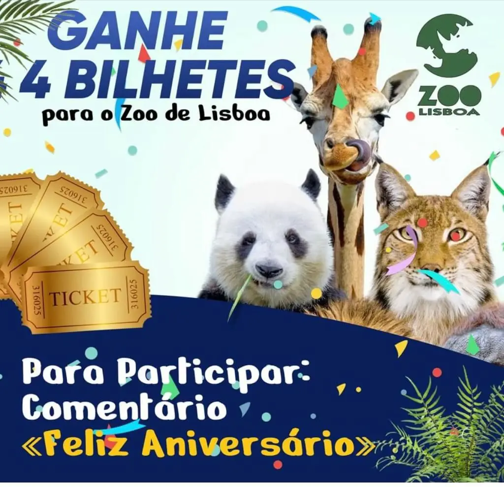 Atenção a esta conta falsa do Zoo de Lisboa. É burla e já atingiu 14 mil pessoas