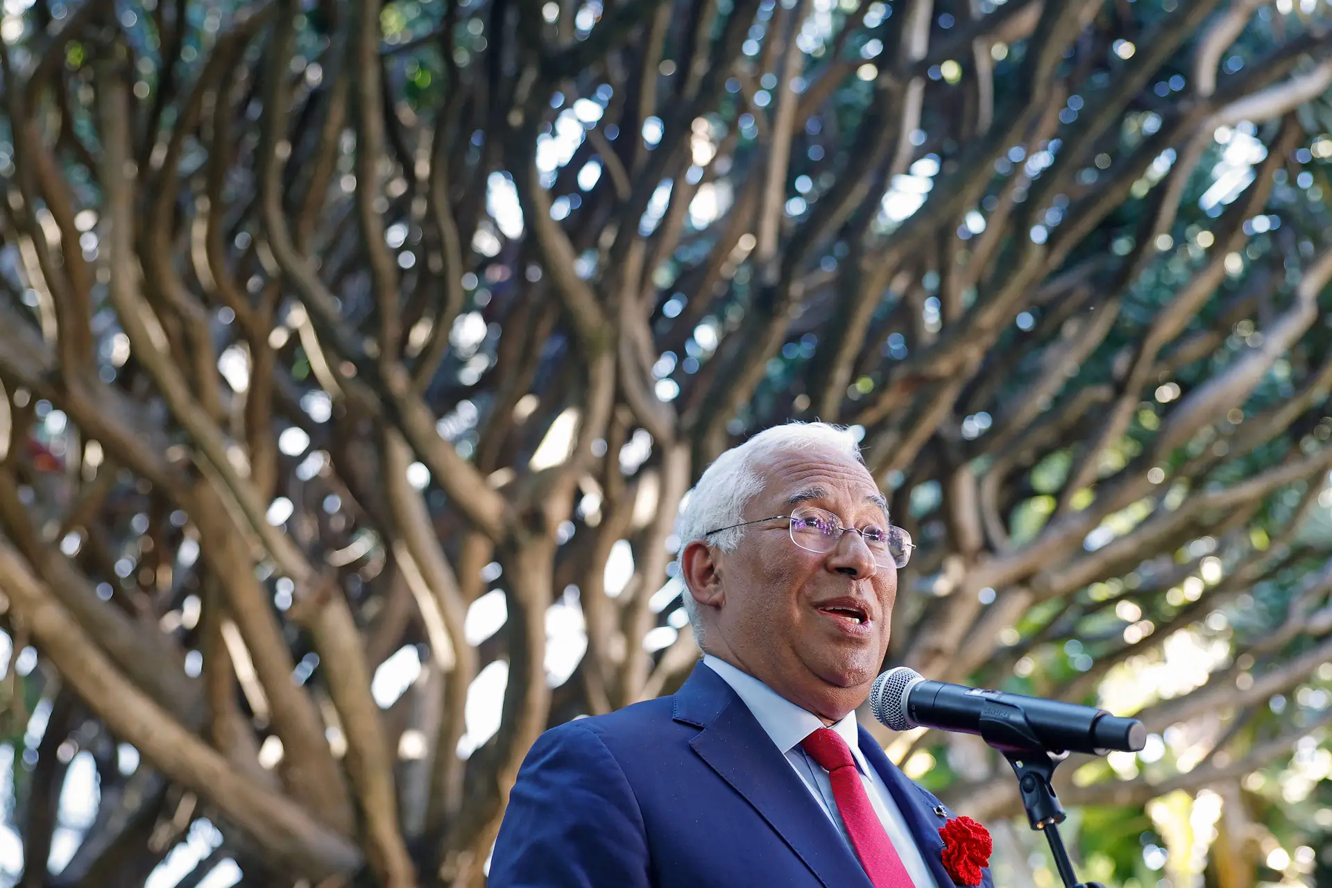 Economia: Costa salienta bons resultados mas avisa que Portugal tem de continuar a pedalar