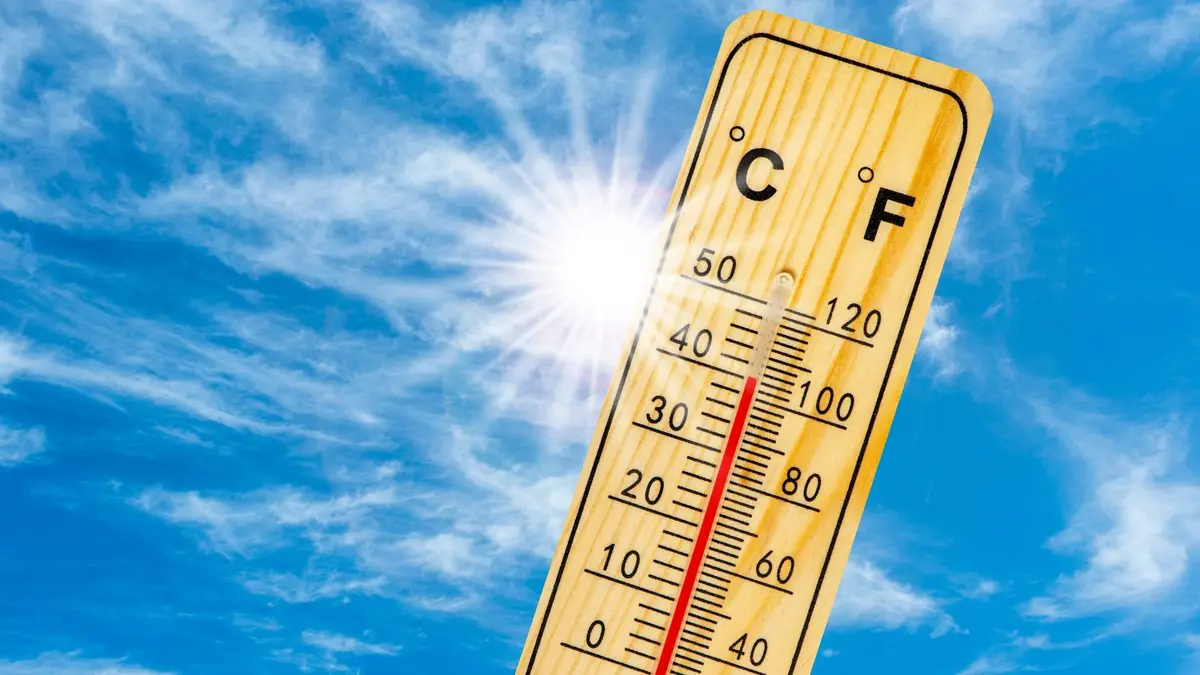 Calor