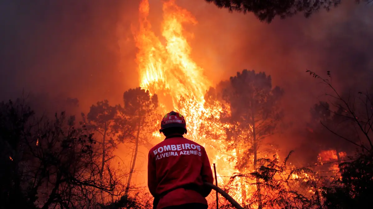 Incêndio no Caramulo em 2013