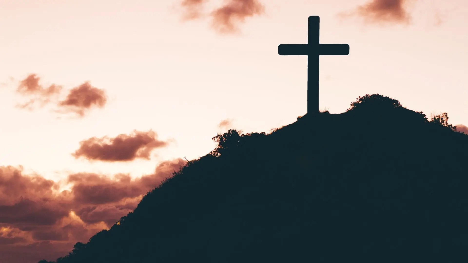 Grupo Vita sinalizou 16 casos de violência sexual na Igreja Católica